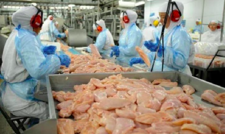 Santa Catarina tem o melhor resultado nas exportações de carnes em 28 anos