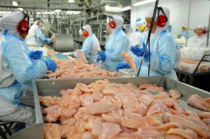 Santa Catarina tem o melhor resultado nas exportações de carnes em 28 anos