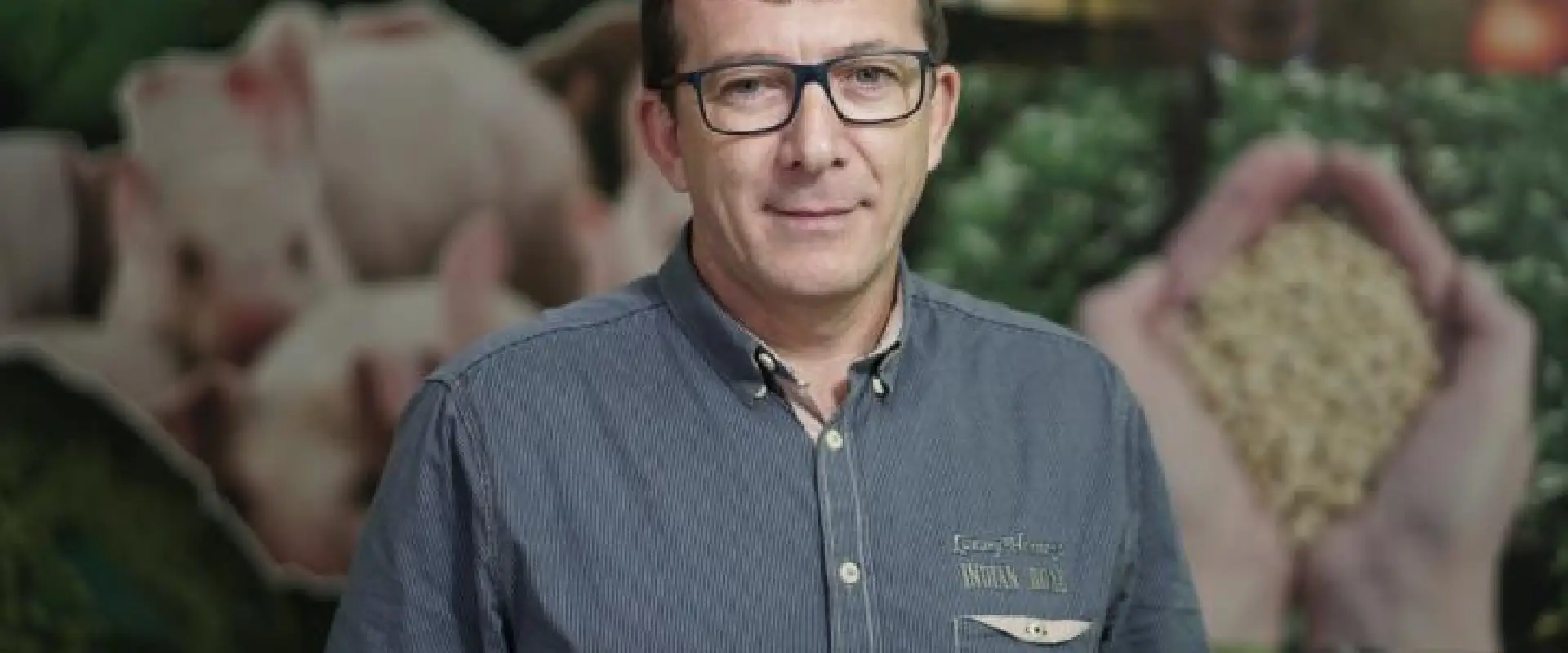 Suinocultura projeta 2026 promissor e aposta em retomada rápida