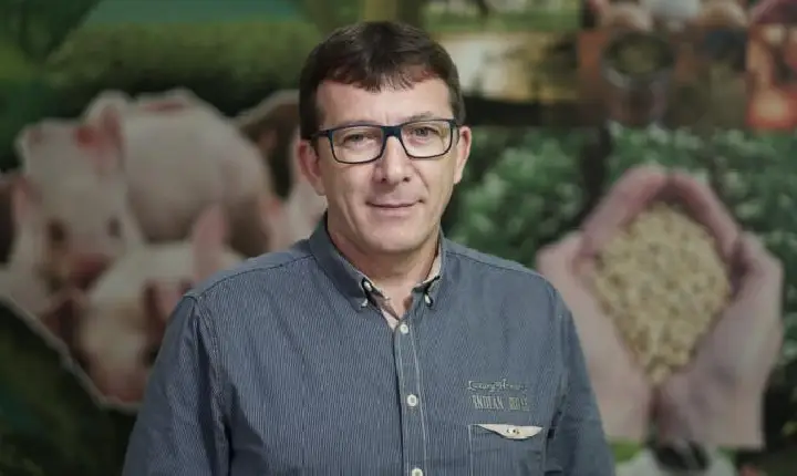 Suinocultura projeta 2026 promissor e aposta em retomada rápida