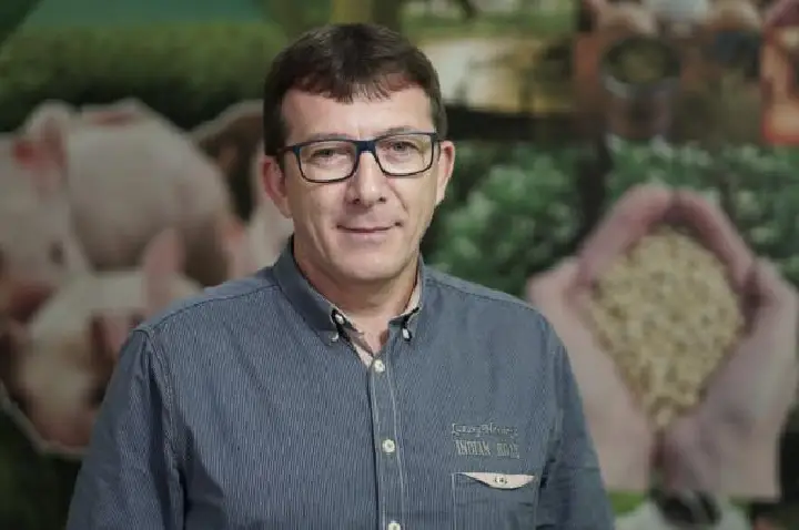 Suinocultura projeta 2026 promissor e aposta em retomada rápida