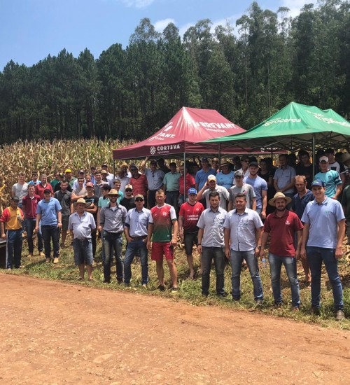 Dia de campo sobre silagem de milho reuniu mais de 100 pessoas em São João do Oeste.