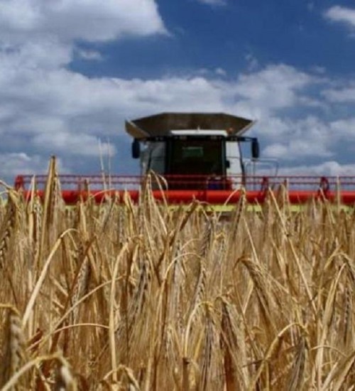 Proposta do governo pretende ampliar controle de qualidade de produtos agrícolas.
