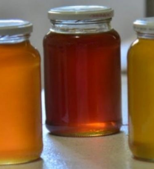 Conheça as variedades e os benefícios do mel produzido em Santa Catarina.