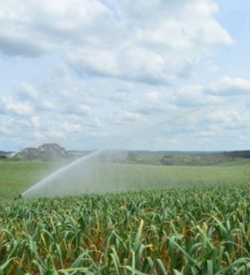 Governo do Estado investe R$ 4,5 milhões em projetos para captação, armazenagem e uso da água no meio rural.