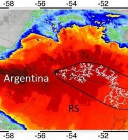 Maior raio do mundo em extensão começou em Santa Catarina, diz pesquisadora.
