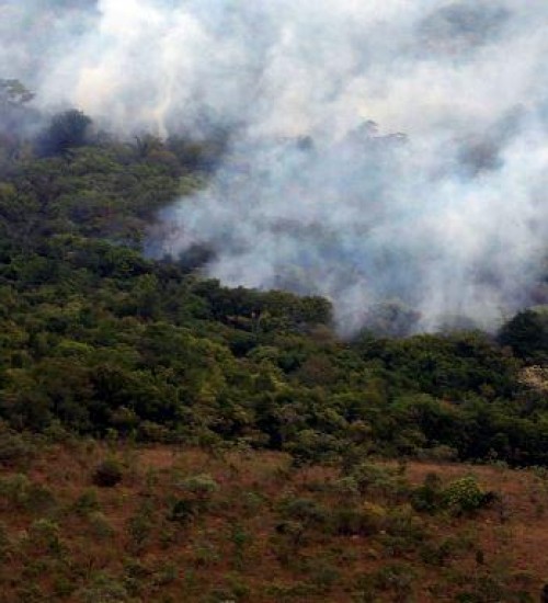 Decreto proíbe queimadas em todo o Brasil por 120 dias.