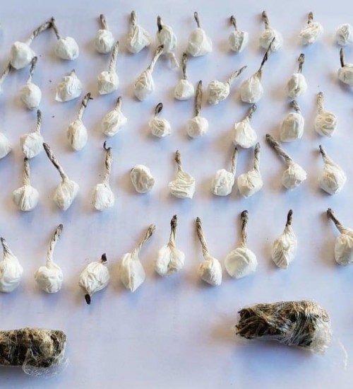 67 buchas de cocaína são apreendidas pela PM em São Miguel Do Oeste