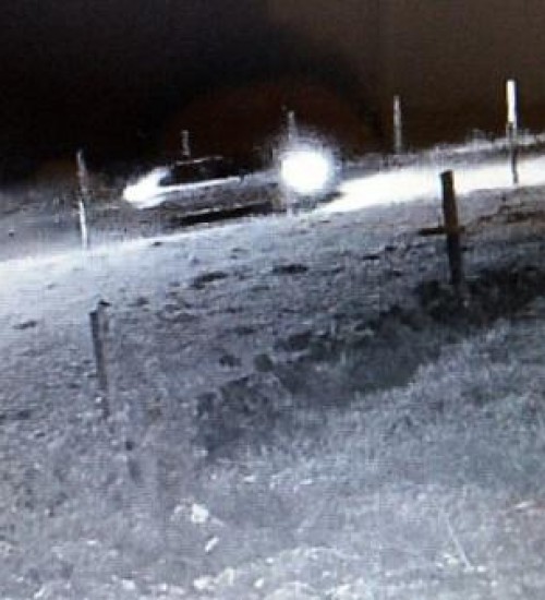 Ladrão de gado perde celular com fotos durante a fuga em SC.