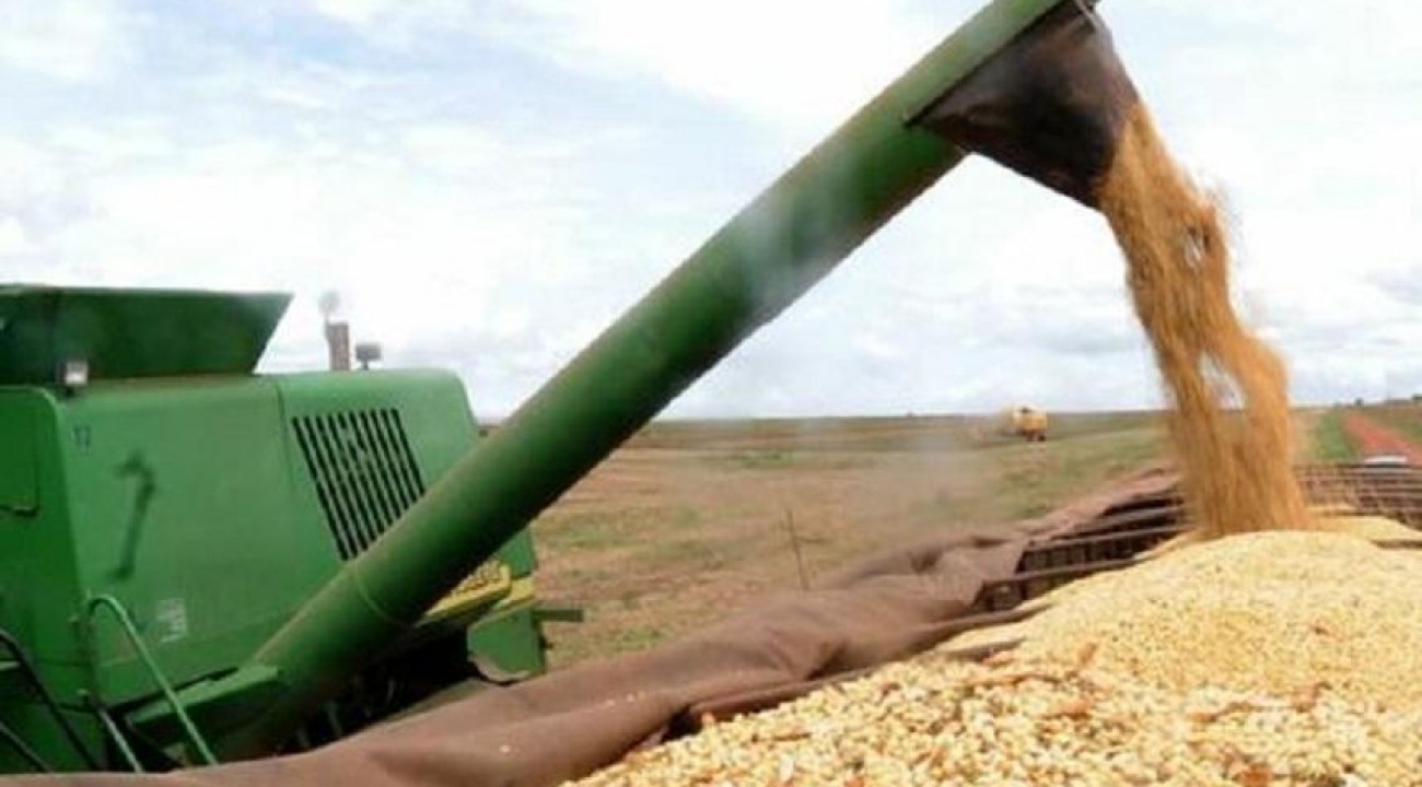 Produção de grãos da safra 2020/21 deve alcançar novo recorde.
