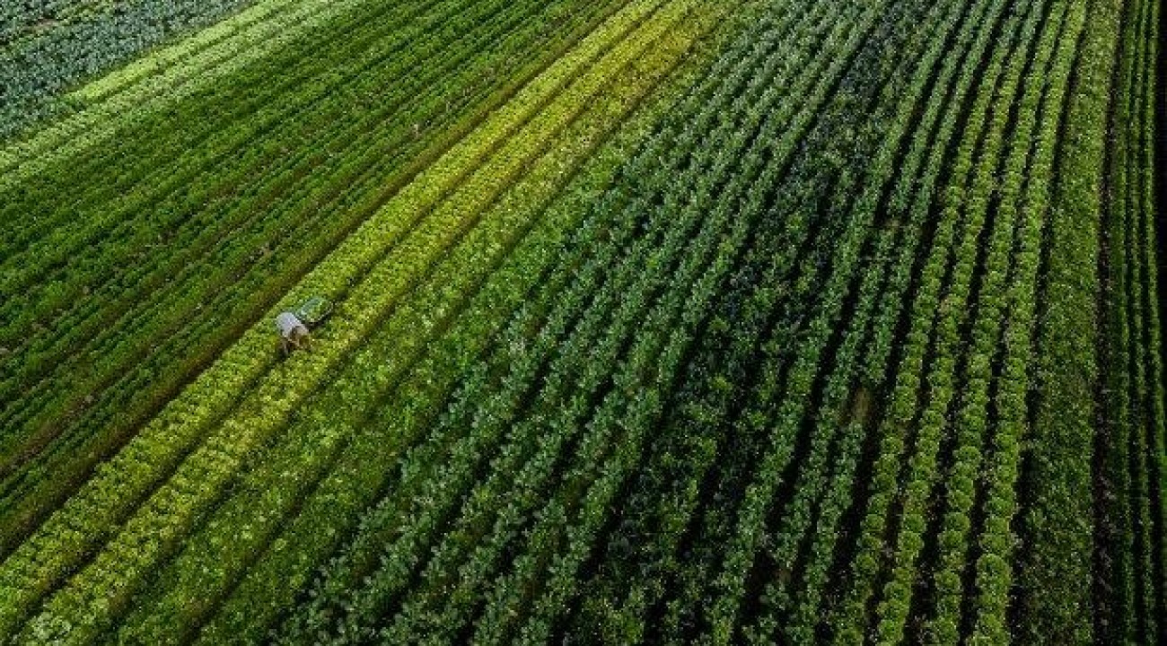 Santa Catarina lança programa de inovação voltado para o agronegócio.