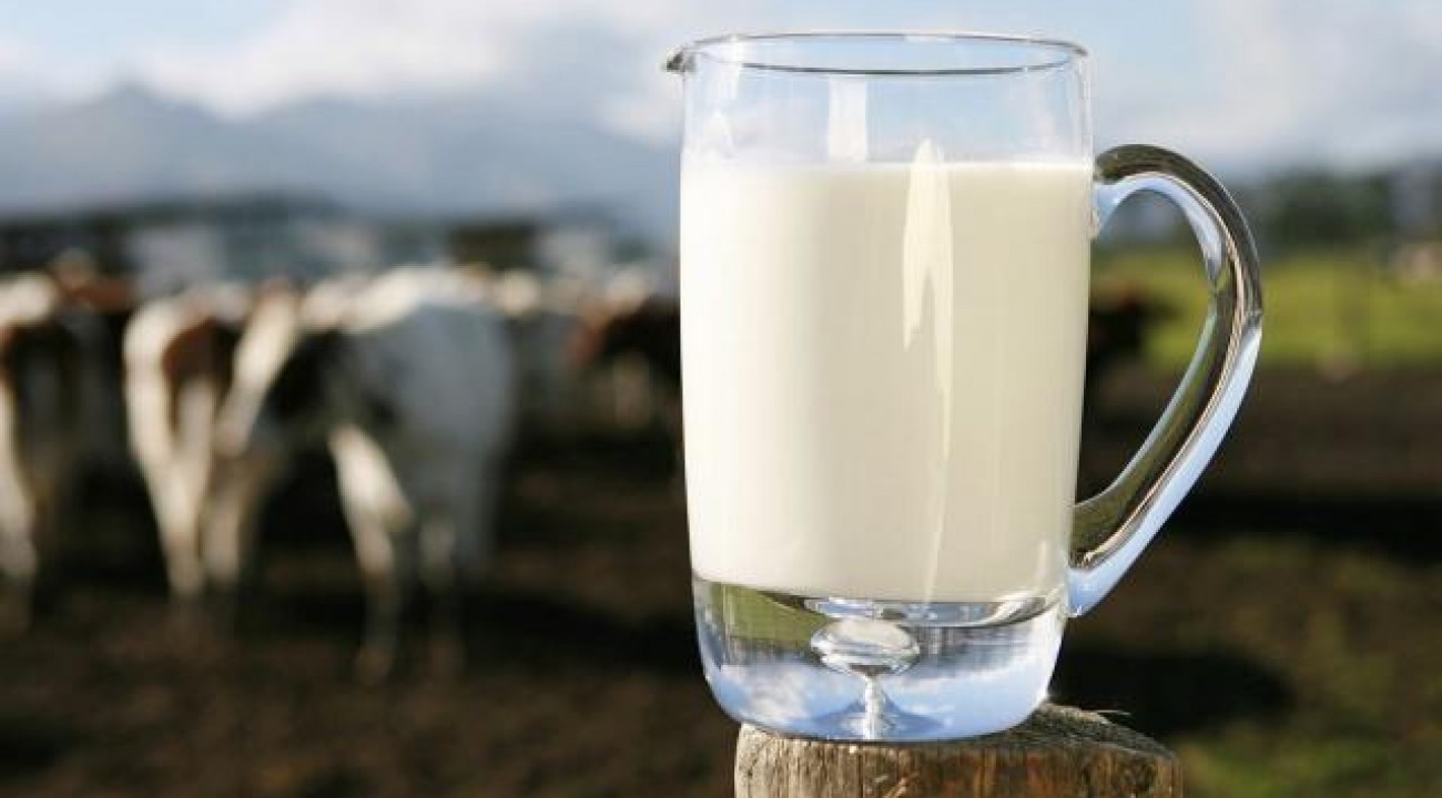SC, PR e RS se unem em ‘Aliança Láctea’ para aumentar competitividade e exportação do leite.