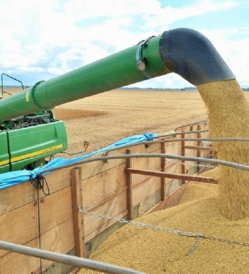 Safra nacional de grãos de 2020 deve bater recorde de 240,9 milhões de toneladas.