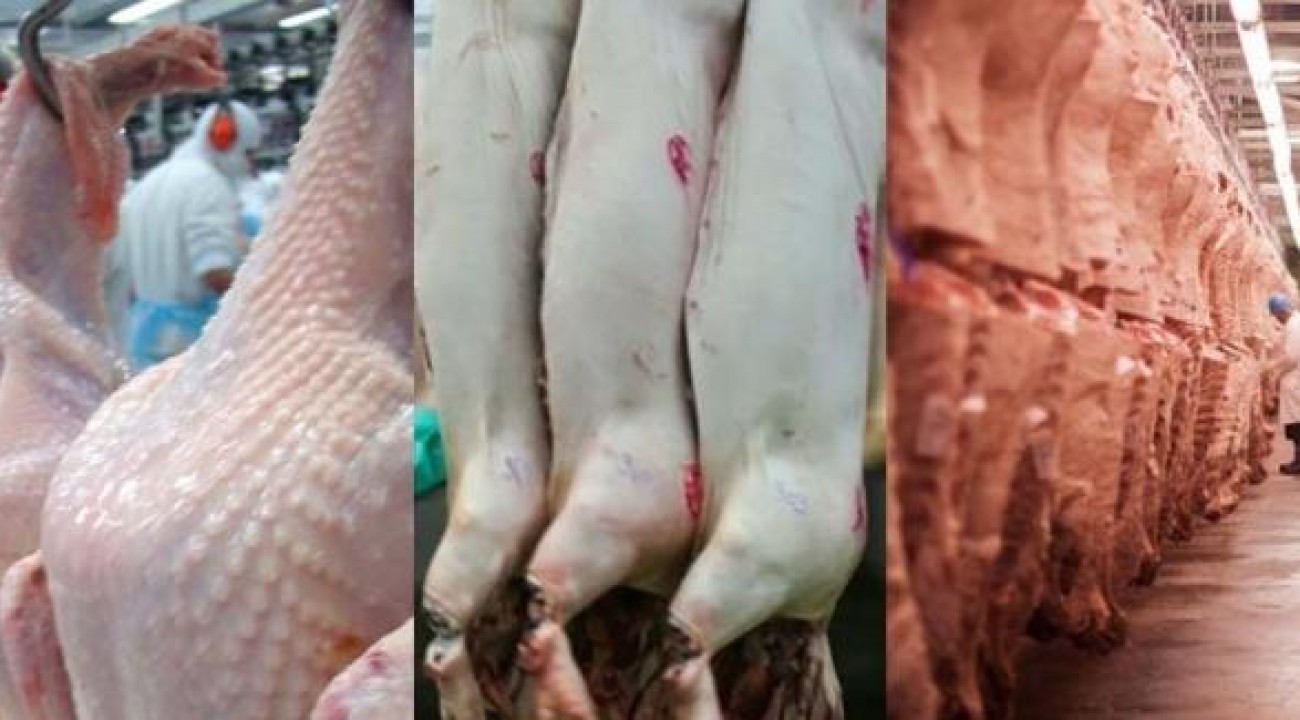 SC tem o melhor desempenho da história na exportação de carnes em 2019