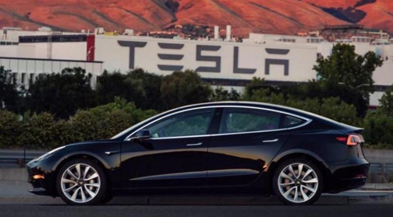 Catarinense propõe isenção de IPI até 2029 para a atrair montadora Tesla