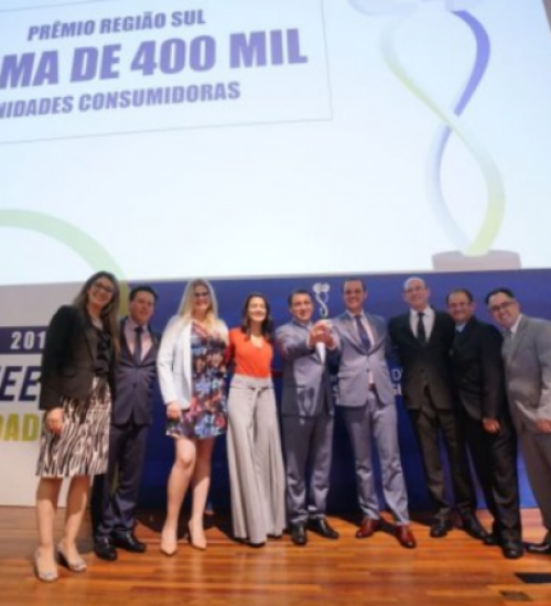 Celesc é campeã do Prêmio Aneel de Qualidade 2019.