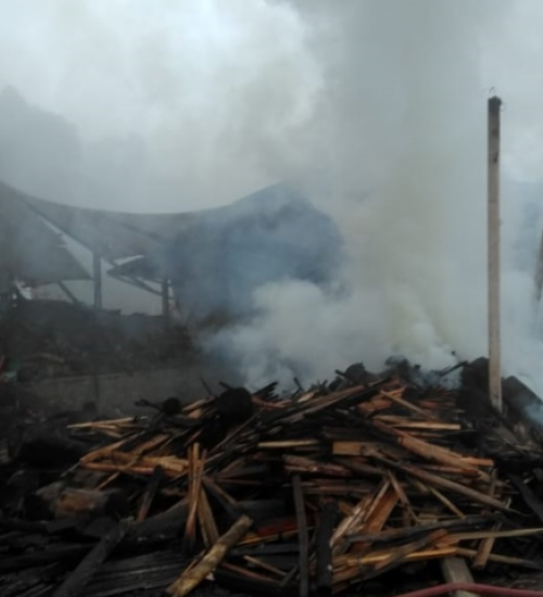 Fábrica de maravalhas fica destruída após incêndio no Oeste.