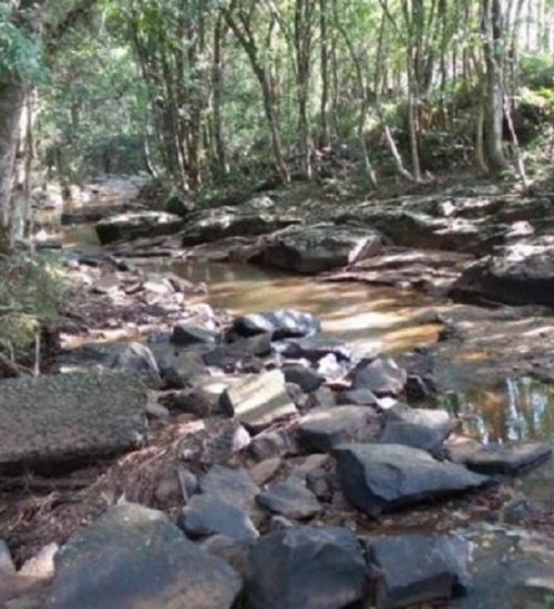 Metade dos rios monitorados pela Epagri estão em situação de estiagem.