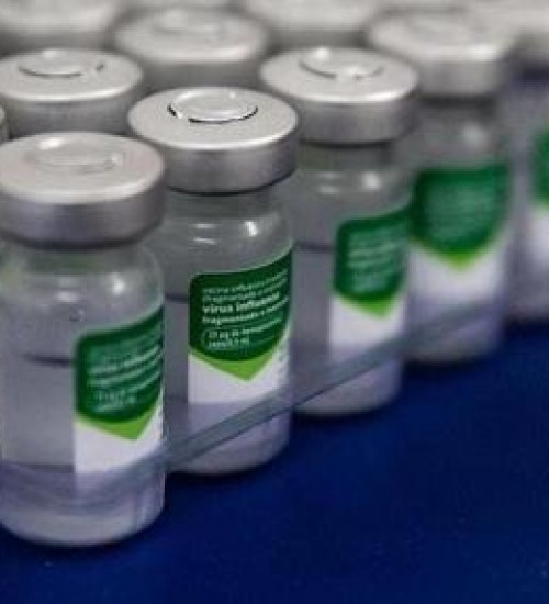 SC receberá 2,5 milhões de doses da vacina contra a gripe.