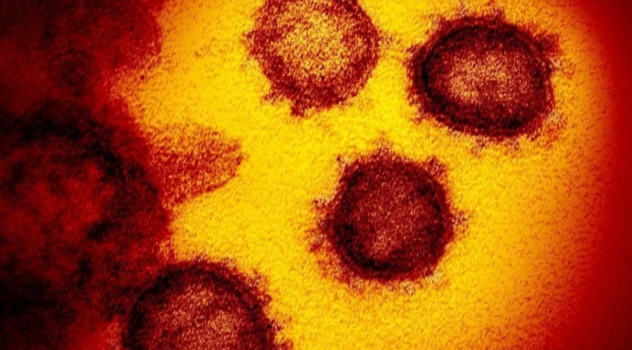 Tunápolis confirma primeiro caso de coronavírus.