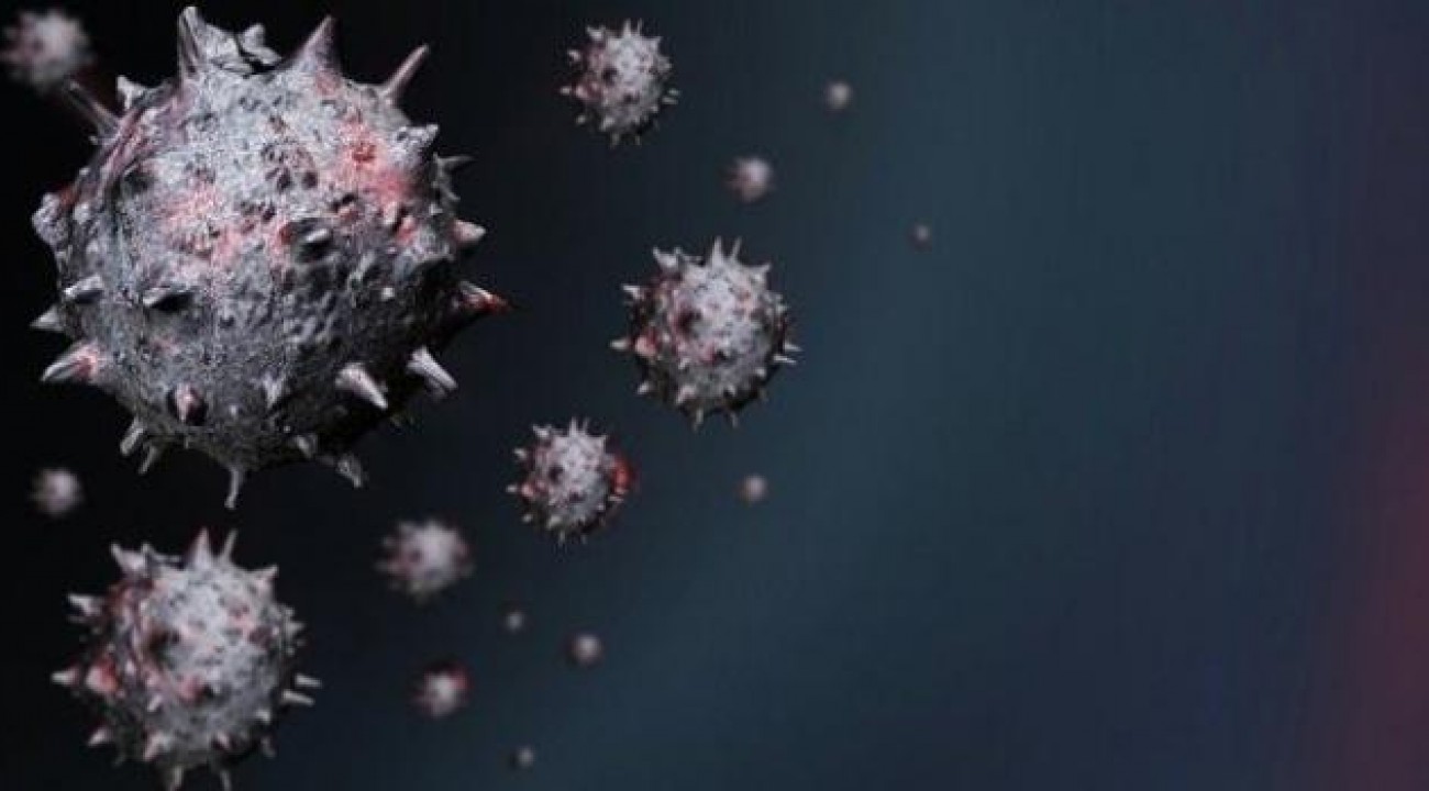 Farmacêutica diz ter descoberto anticorpos contra coronavírus.