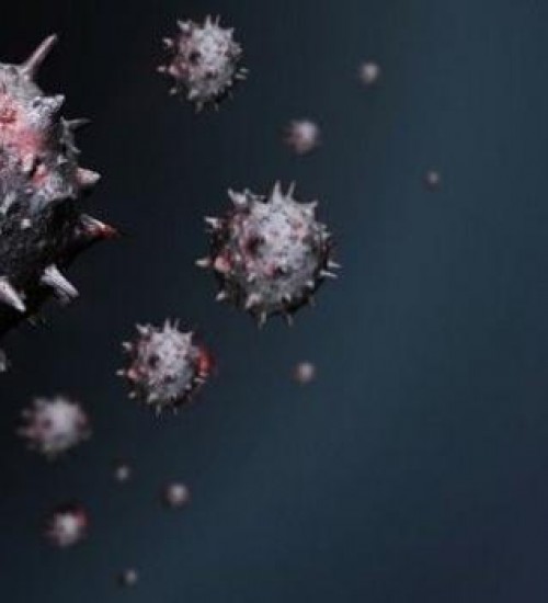 Farmacêutica diz ter descoberto anticorpos contra coronavírus.