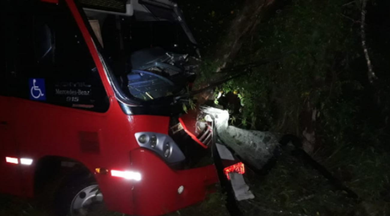 Árvore caída em rodovia causa acidente na SC-163, em Itapiranga.