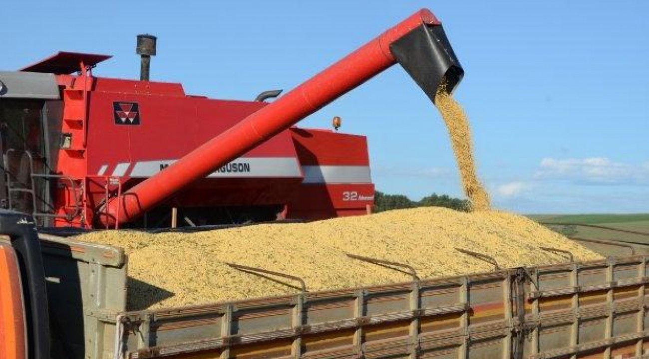 Santa Catarina bate recorde na exportação de soja nos quatro primeiros meses do ano.