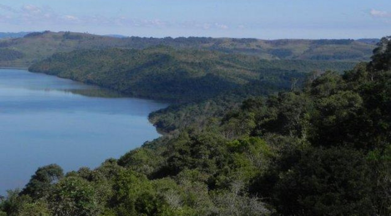 Santa Catarina reduziu desmatamento em 22%, aponta Atlas da Mata Atlântica.