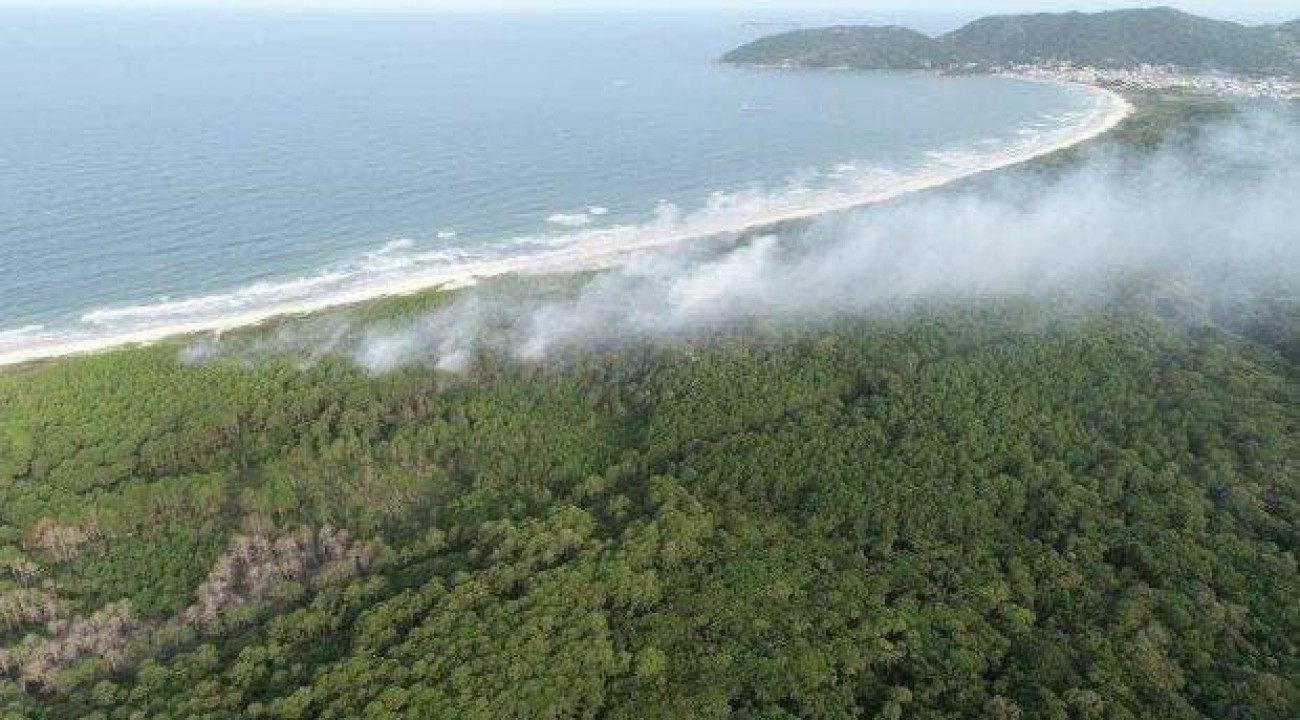 Campanha Nosso Parque quer evitar incêndios florestais em Santa Catarina.