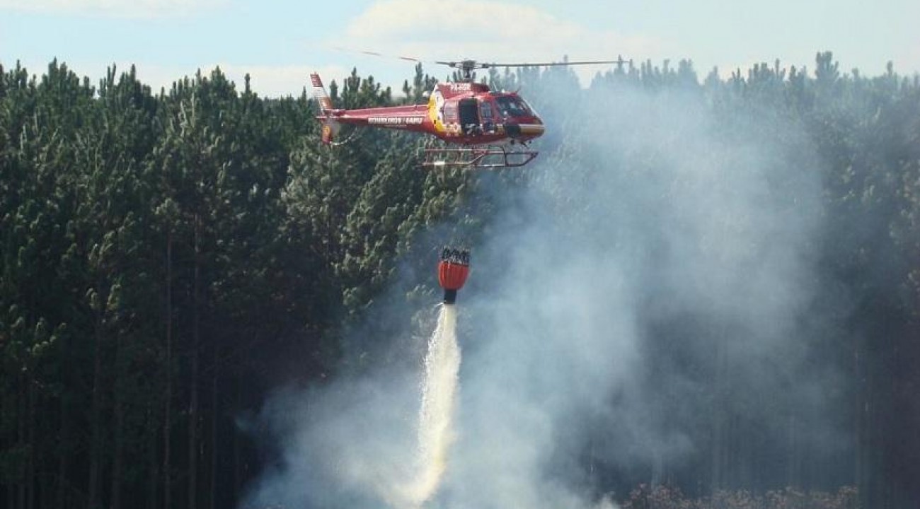 Em maio, Santa Catarina registra maior número de incêndios florestais em quatro anos.