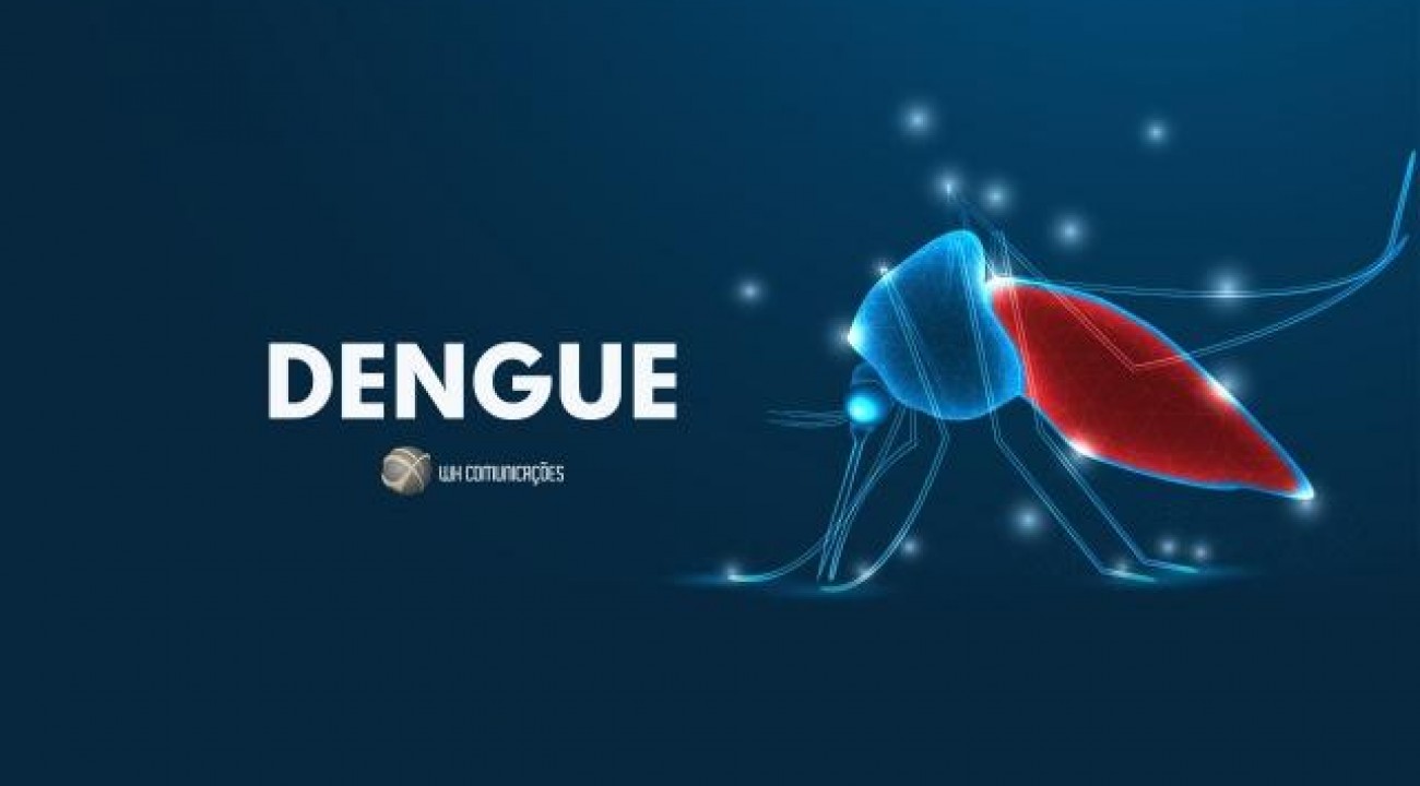 São Miguel do Oeste já registra 140 casos de Dengue em 2020.
