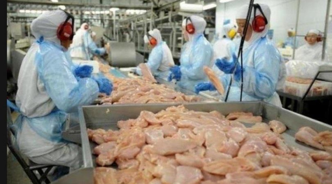 Hong Kong suspende importação de frigorífico de SC após caso de Coronavírus em frango.