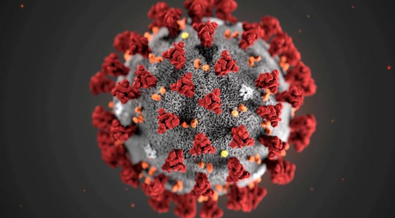 Mutação infecciosa do novo coronavírus pode ser 'uma coisa boa', diz especialista em doenças.