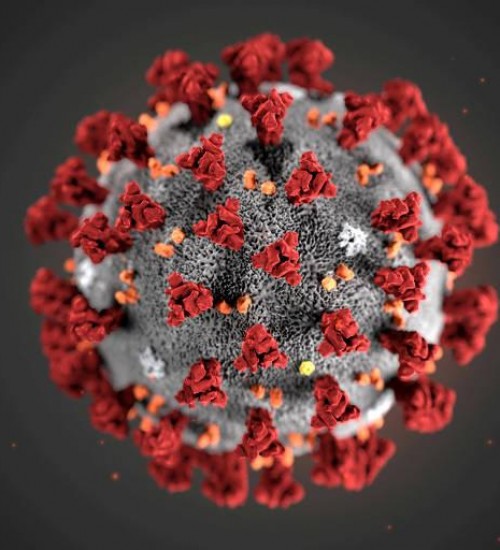 Mutação infecciosa do novo coronavírus pode ser 'uma coisa boa', diz especialista em doenças.