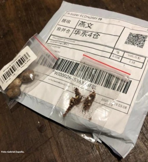Cidasc alerta população de SC sobre pacotes de sementes provenientes da China