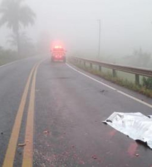 Pedestre morre atropelado na SC-480, em São Domingos