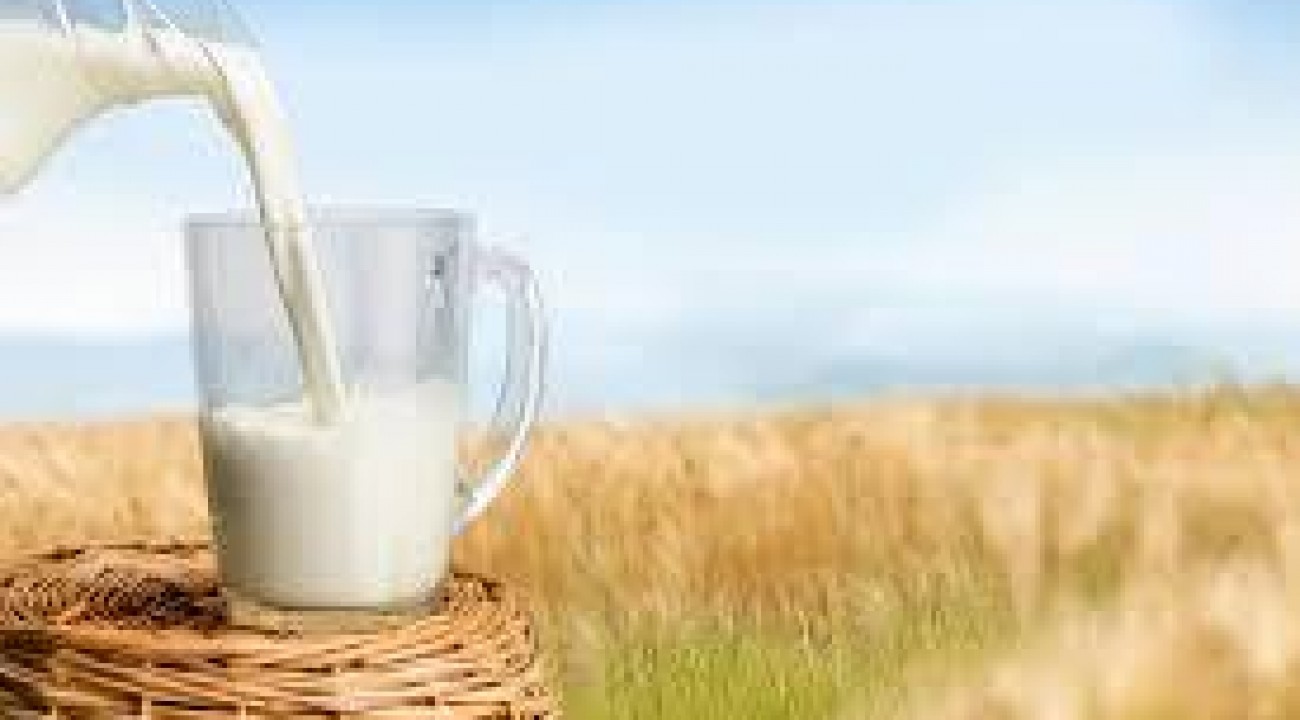 Preço do leite registra alta de 55% no ano e vai continuar subindo’