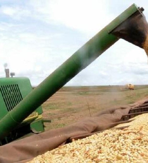 Produção de grãos da safra 2020/21 deve alcançar novo recorde.