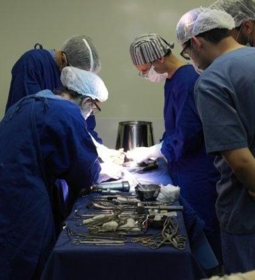 Hospital de SC realiza cirurgia inédita em tumor ósseo com nitrogênio líquido.