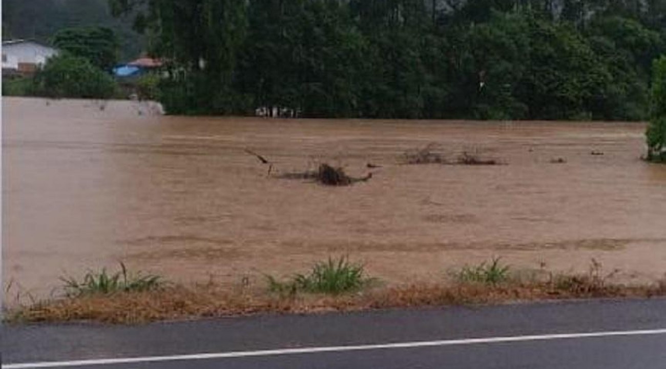 Chuva intensa prejudica lavoura de arroz no interior de Santa Catarina.