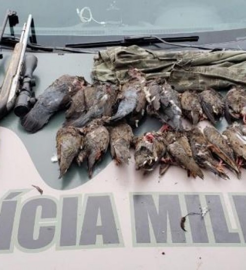 PMA prende dupla por caça e porte ilegal de arma de fogo em Anchieta.