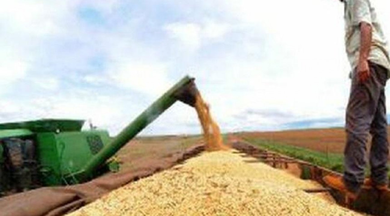 Produção de grãos da safra 2020/21 pode chegar a 268,3 milhões de toneladas.