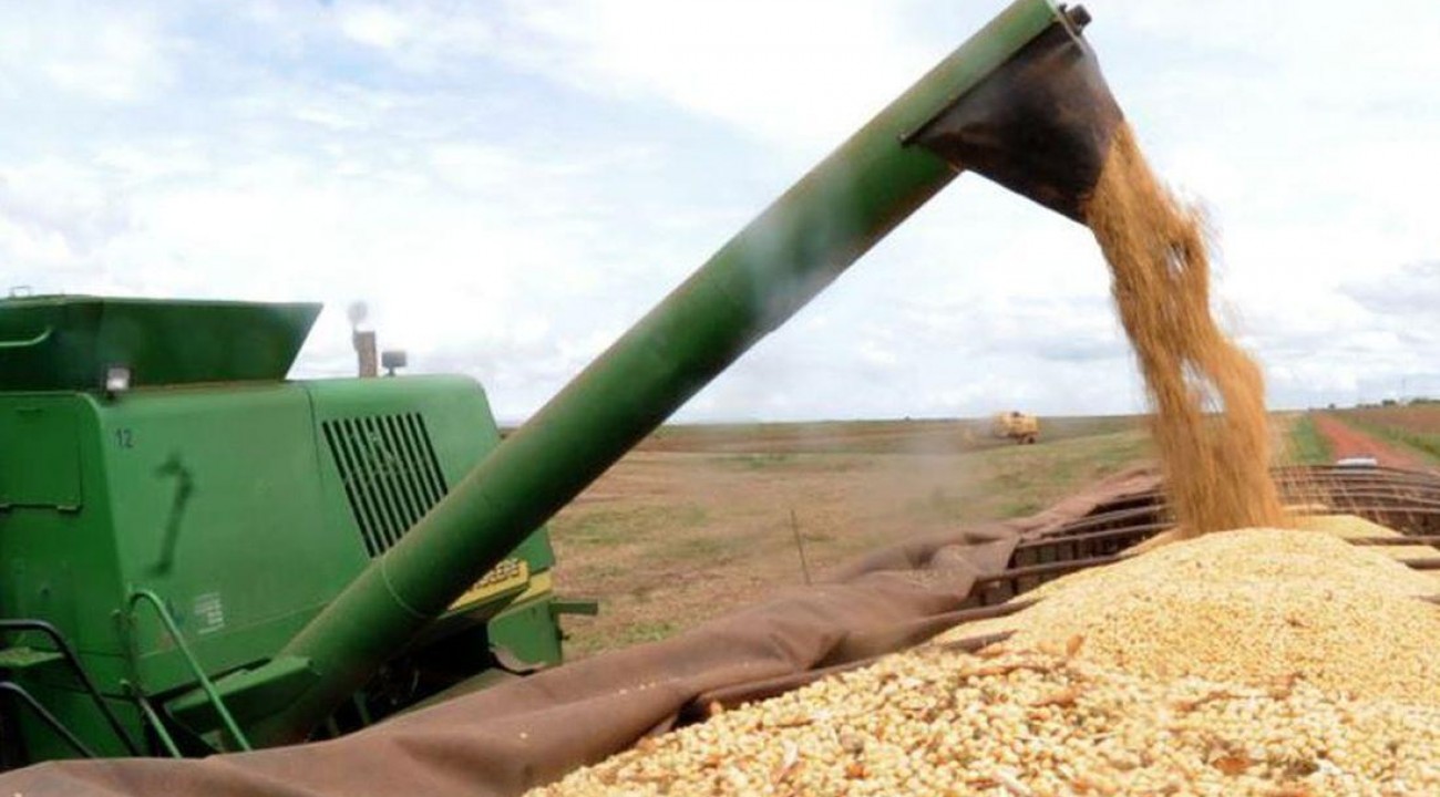 Safra de grãos deve ser recorde em 2021, diz IBGE.