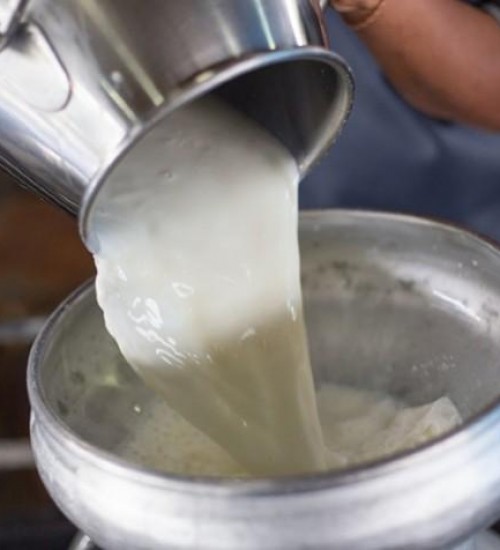 Preço pago ao produtor de leite em fevereiro ficou abaixo de R$ 2, queda de 6,7%.