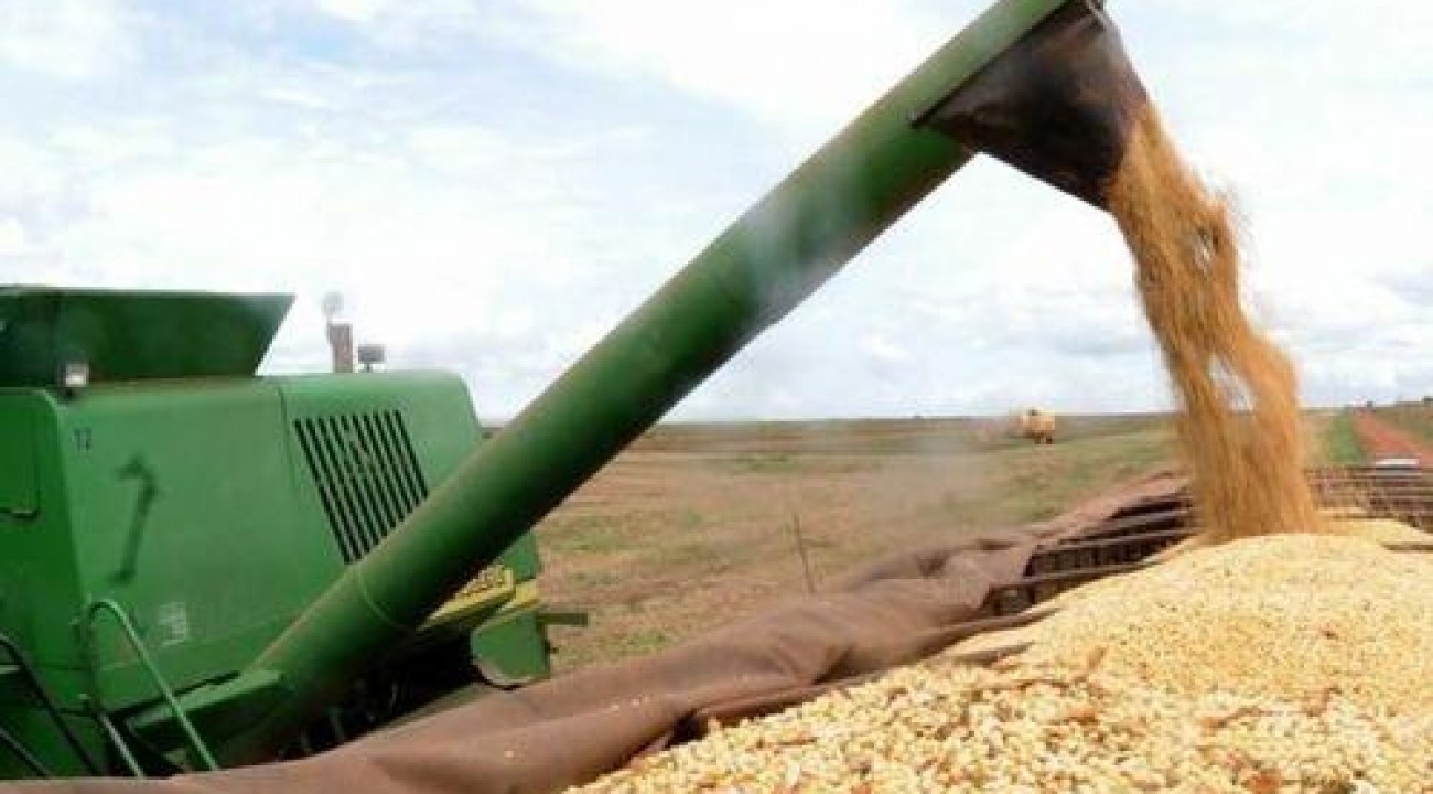 Imposto de importação do milho e soja é suspenso até fim do ano.