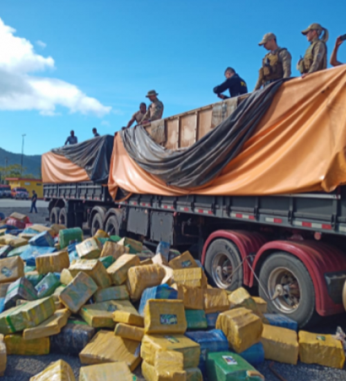 Ação conjunta apreende mais de 24 toneladas de maconha em Santa Catarina.
