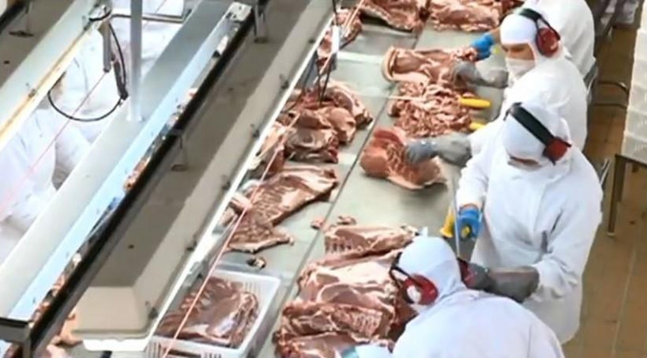 Santa Catarina lidera exportação de carne suína.