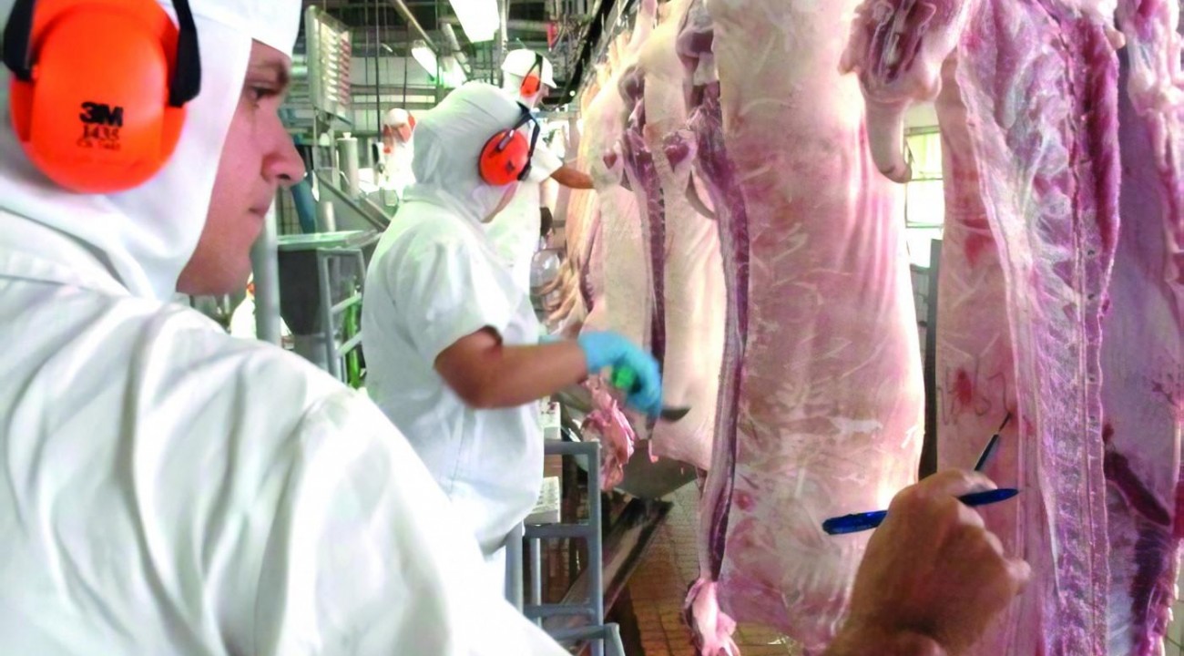 SC ultrapassa US$ 1,5 bilhão com exportações de carnes no primeiro semestre.