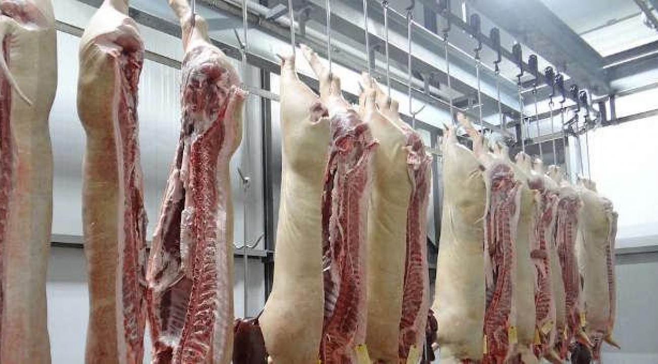 SC amplia a exportação de carnes e ultrapassa US$ 2 bilhões de faturamento em 2021.